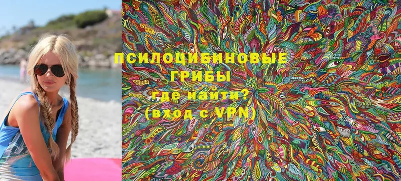 купить наркотик  Истра  Галлюциногенные грибы Psilocybine cubensis 